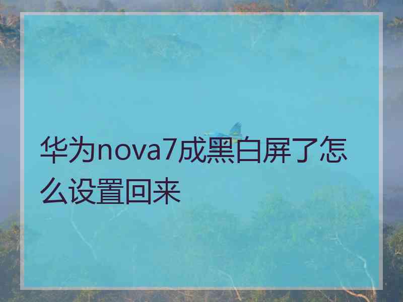 华为nova7成黑白屏了怎么设置回来