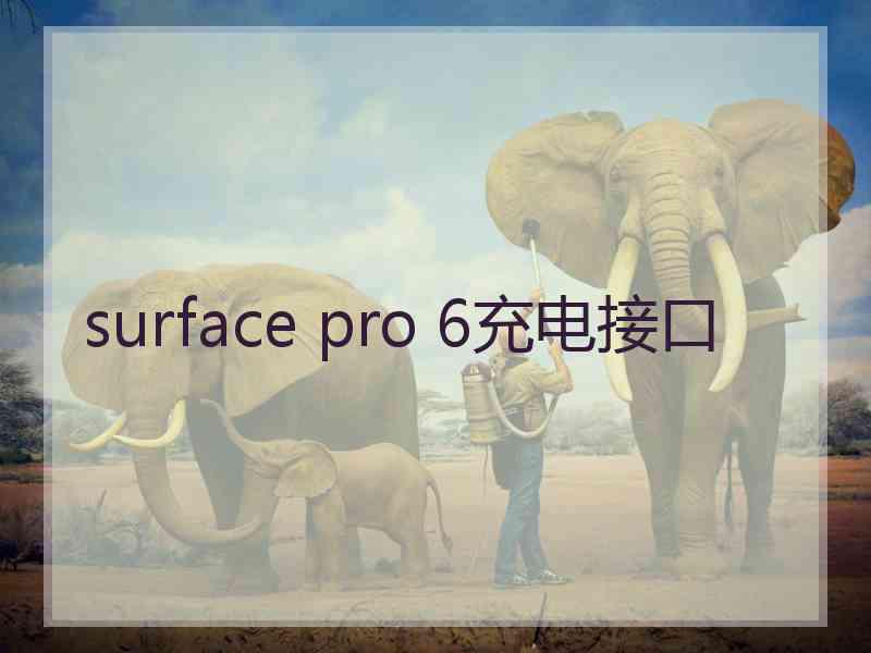 surface pro 6充电接口