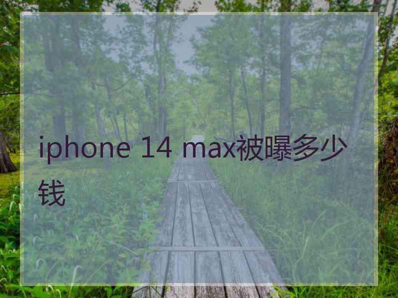 iphone 14 max被曝多少钱