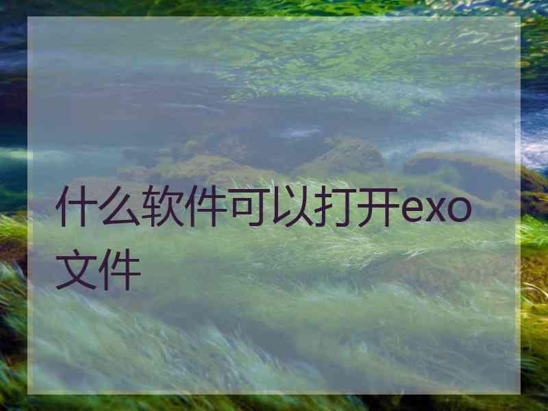 什么软件可以打开exo文件