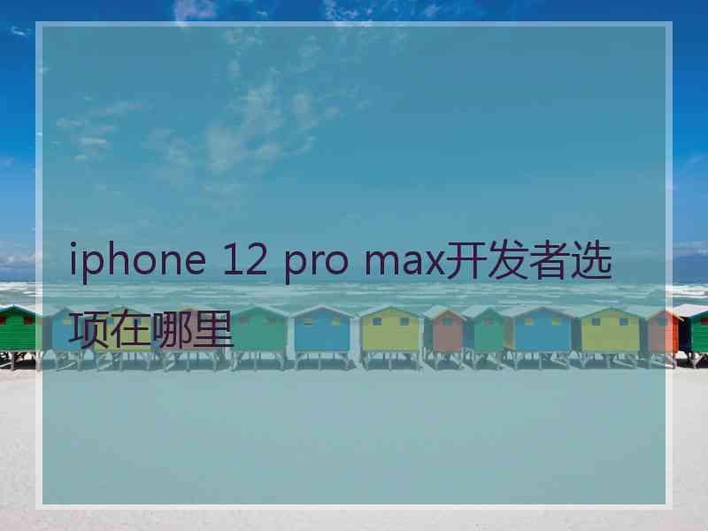 iphone 12 pro max开发者选项在哪里