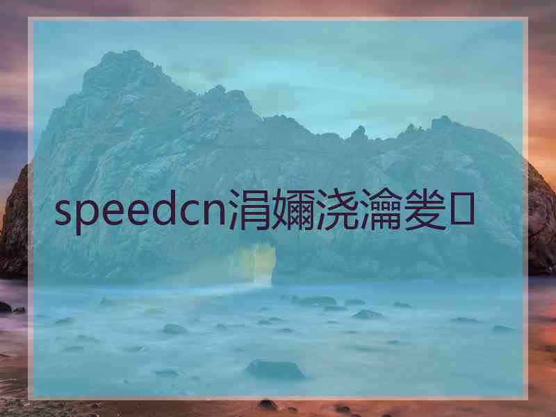 speedcn涓嬭浇瀹夎