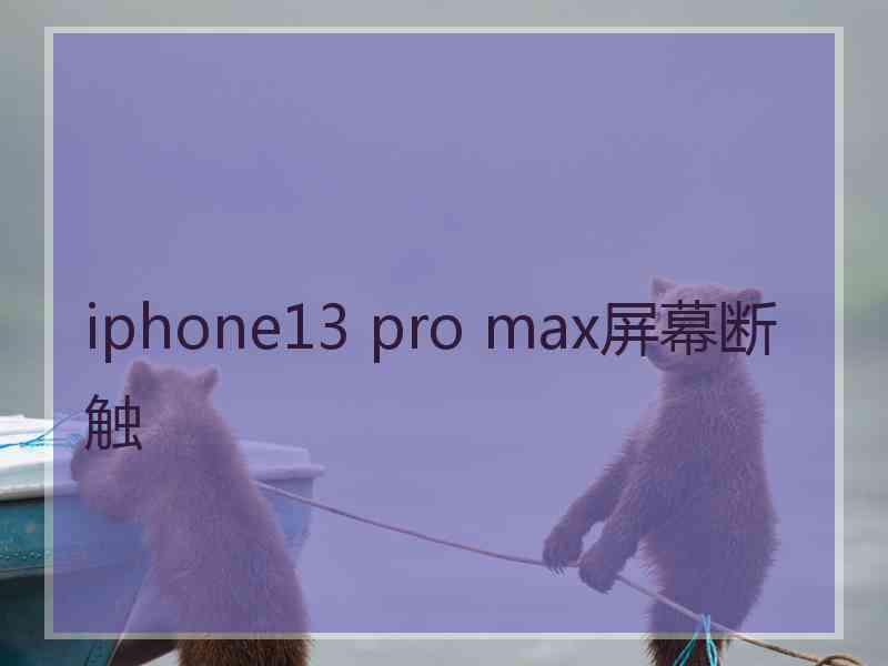 iphone13 pro max屏幕断触