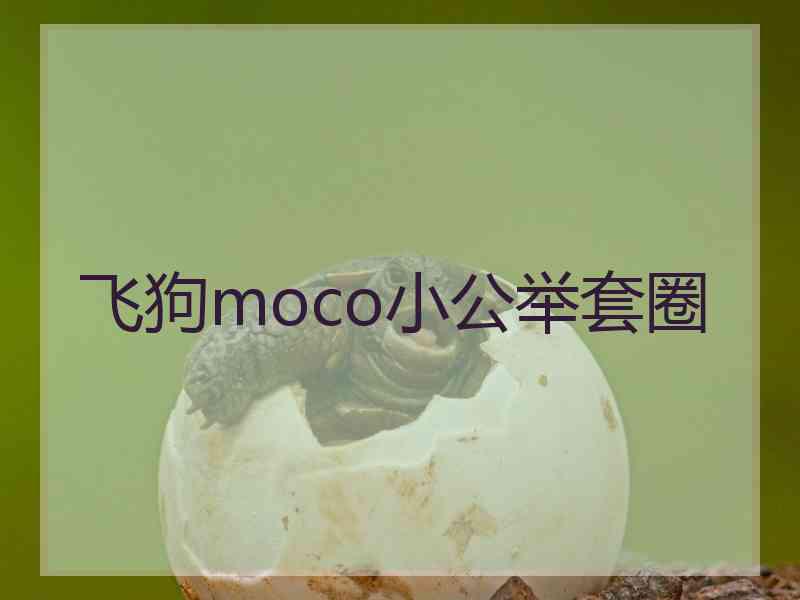 飞狗moco小公举套圈