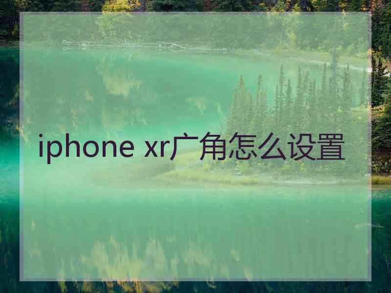 iphone xr广角怎么设置