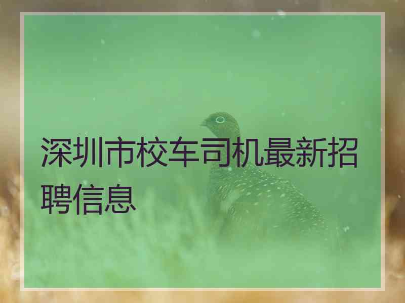 深圳市校车司机最新招聘信息