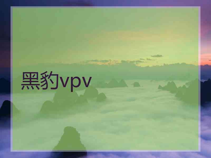 黑豹vpv