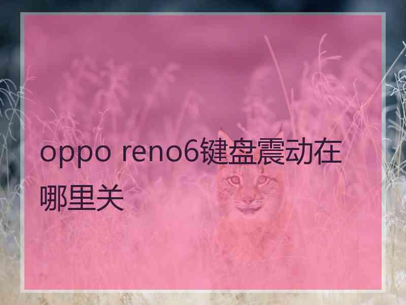 oppo reno6键盘震动在哪里关