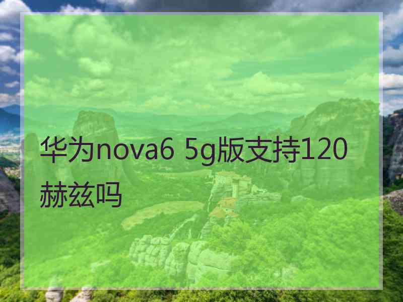 华为nova6 5g版支持120赫兹吗