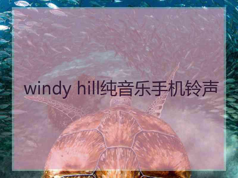 windy hill纯音乐手机铃声