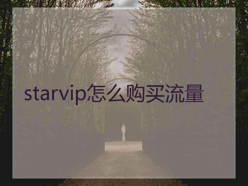 starvip怎么购买流量