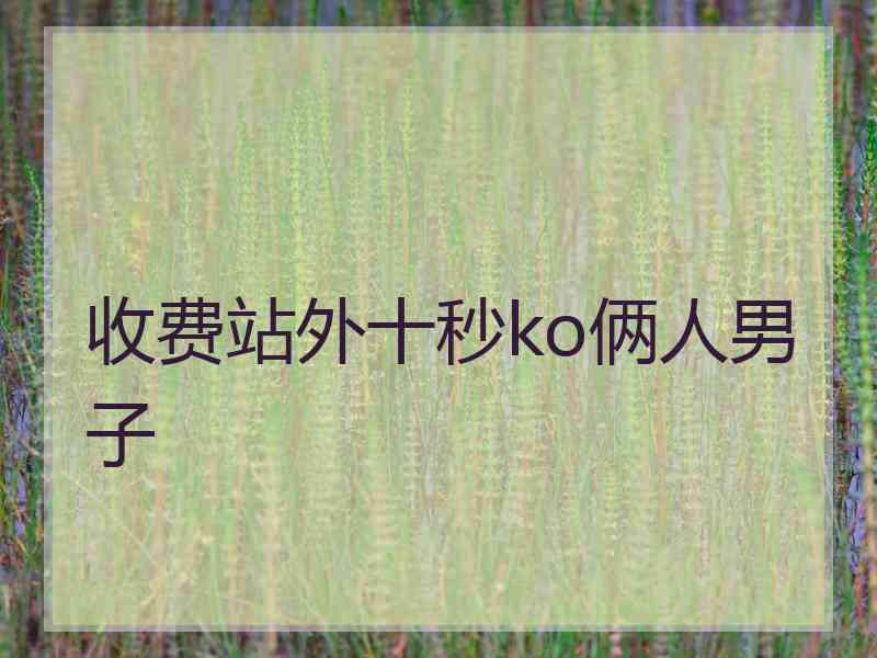 收费站外十秒ko俩人男子