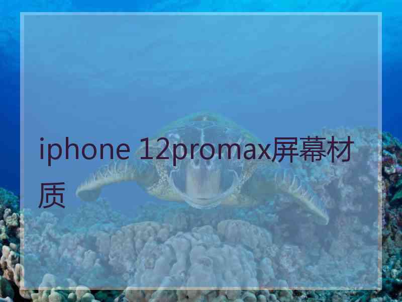 iphone 12promax屏幕材质