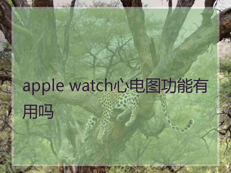 apple watch心电图功能有用吗