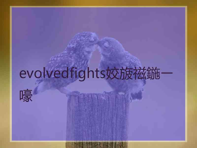 evolvedfights姣旇禌鍦ㄧ嚎