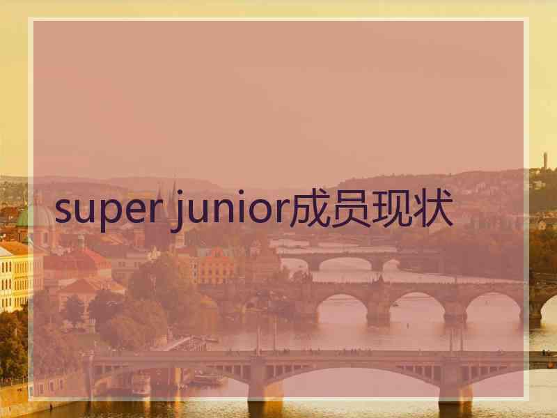 super junior成员现状