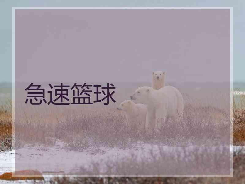 急速篮球