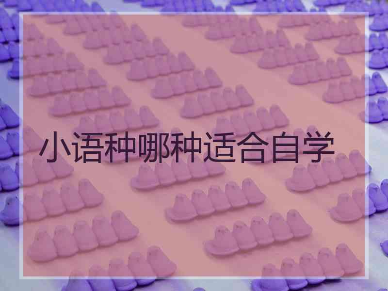 小语种哪种适合自学