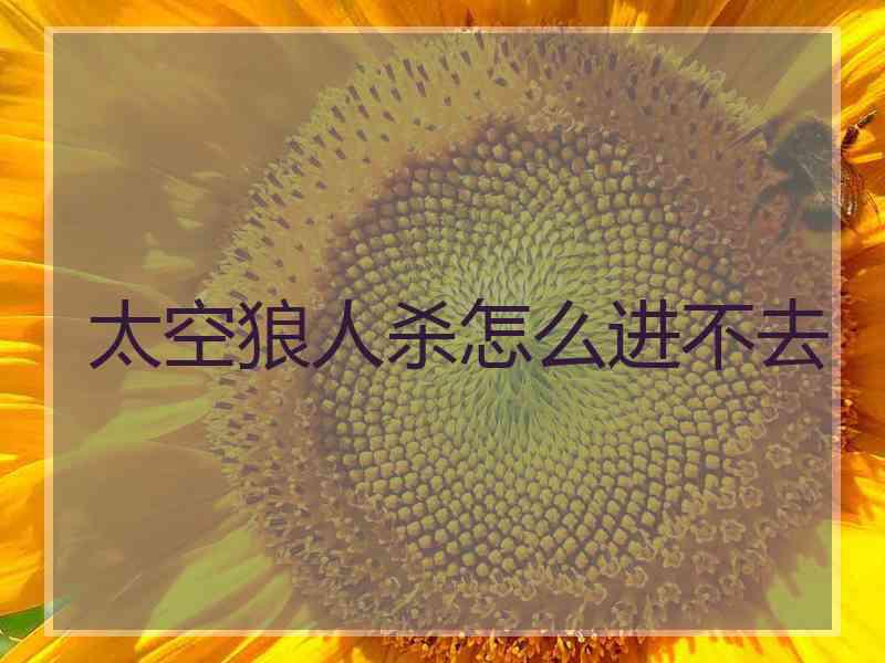 太空狼人杀怎么进不去