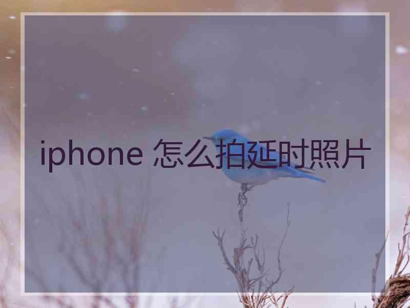 iphone 怎么拍延时照片