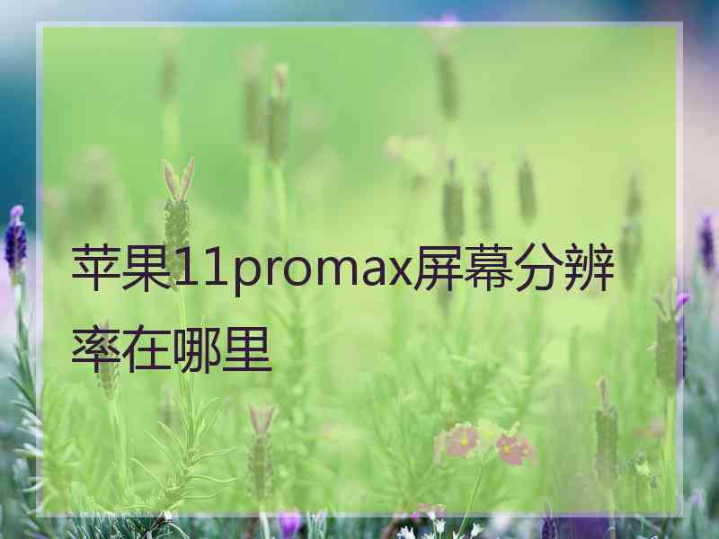 苹果11promax屏幕分辨率在哪里