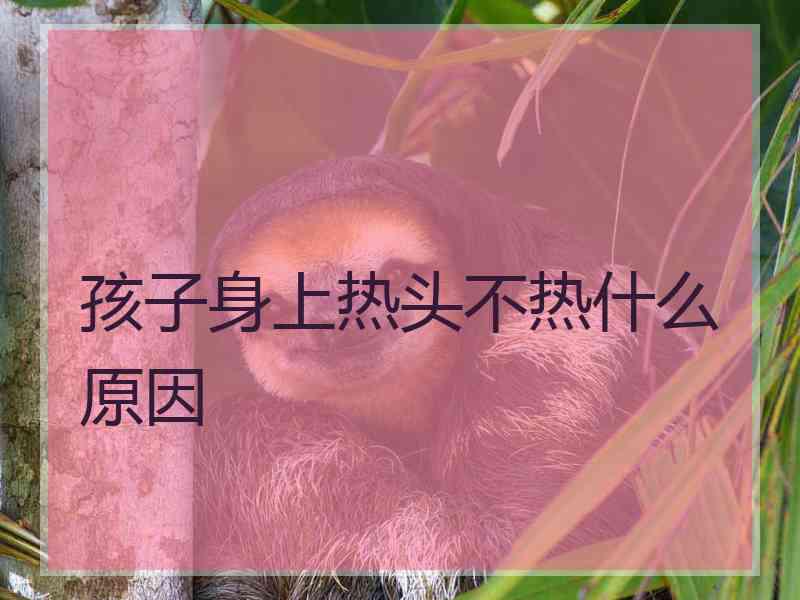 孩子身上热头不热什么原因