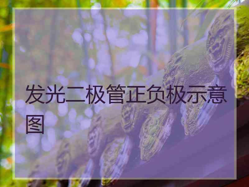 发光二极管正负极示意图