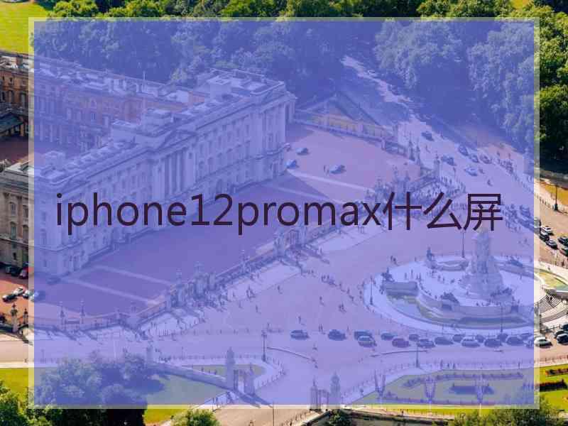 iphone12promax什么屏