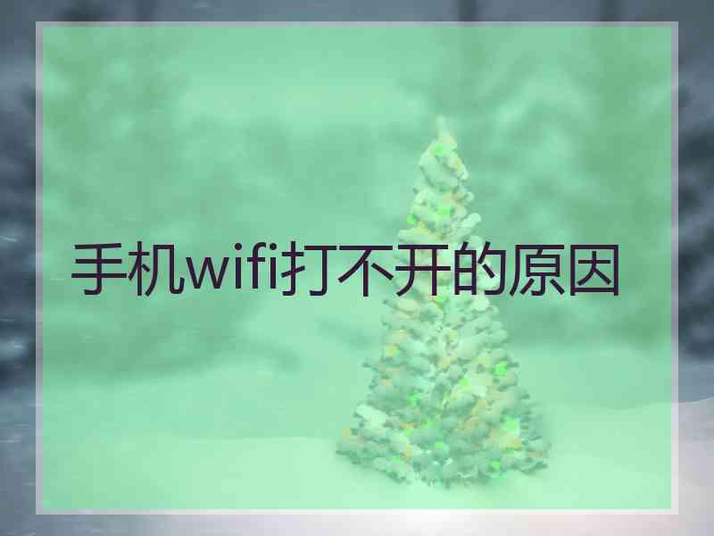 手机wifi打不开的原因