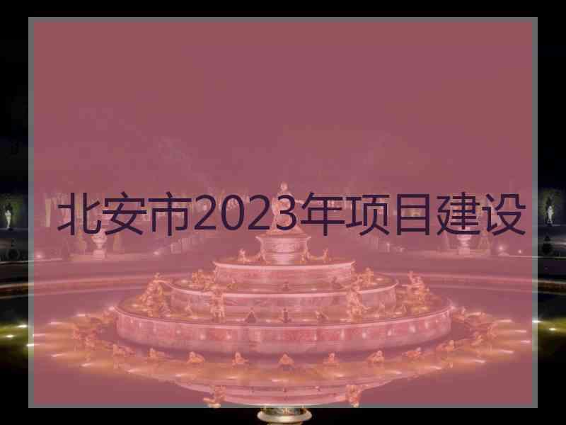 北安市2023年项目建设