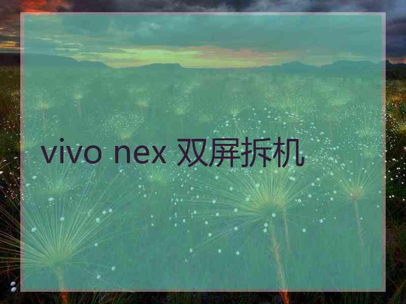 vivo nex 双屏拆机