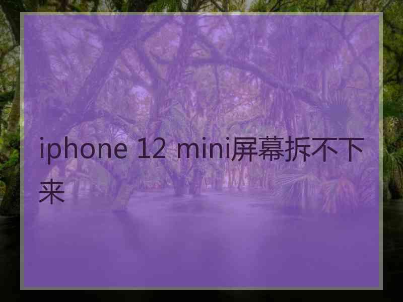 iphone 12 mini屏幕拆不下来