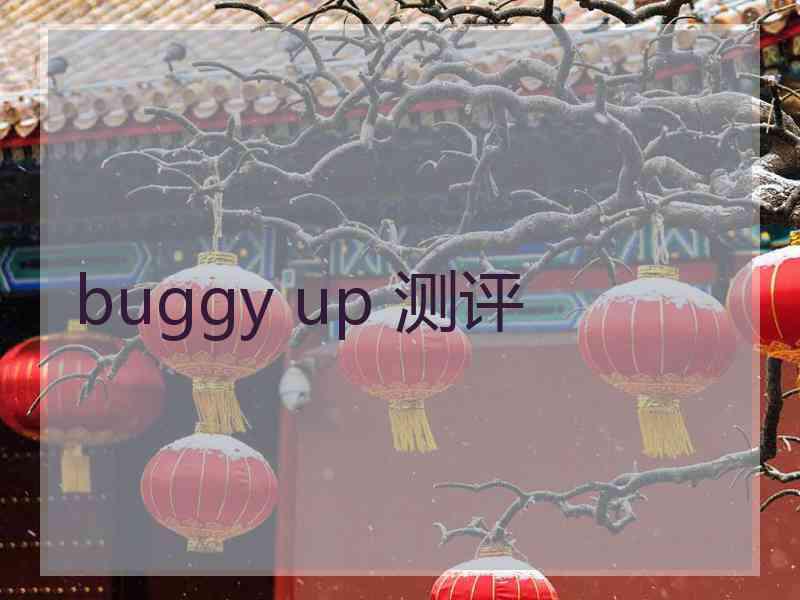 buggy up 测评