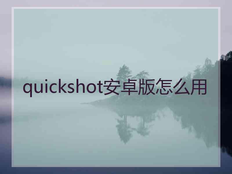 quickshot安卓版怎么用