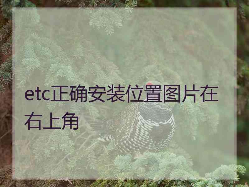 etc正确安装位置图片在右上角