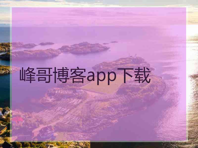 峰哥博客app下载