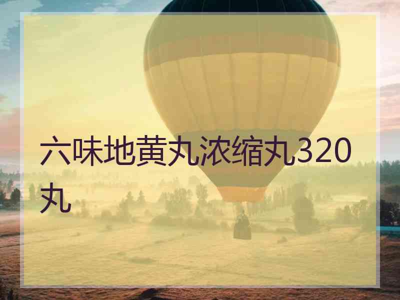 六味地黄丸浓缩丸320丸