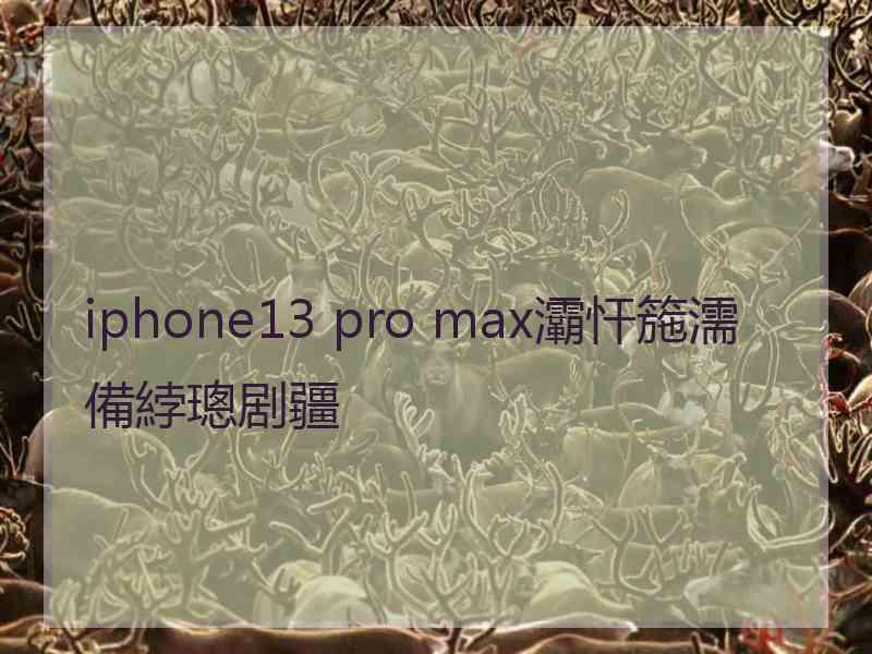 iphone13 pro max灞忓箷濡備綍璁剧疆