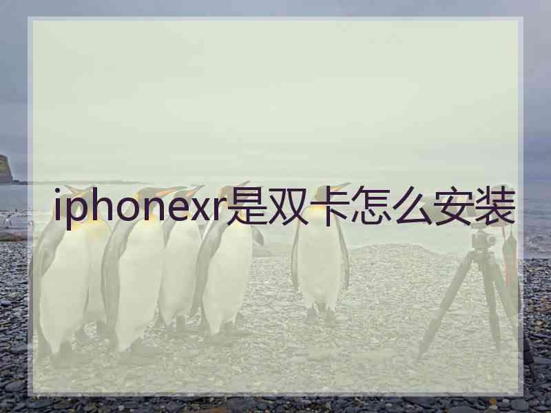 iphonexr是双卡怎么安装