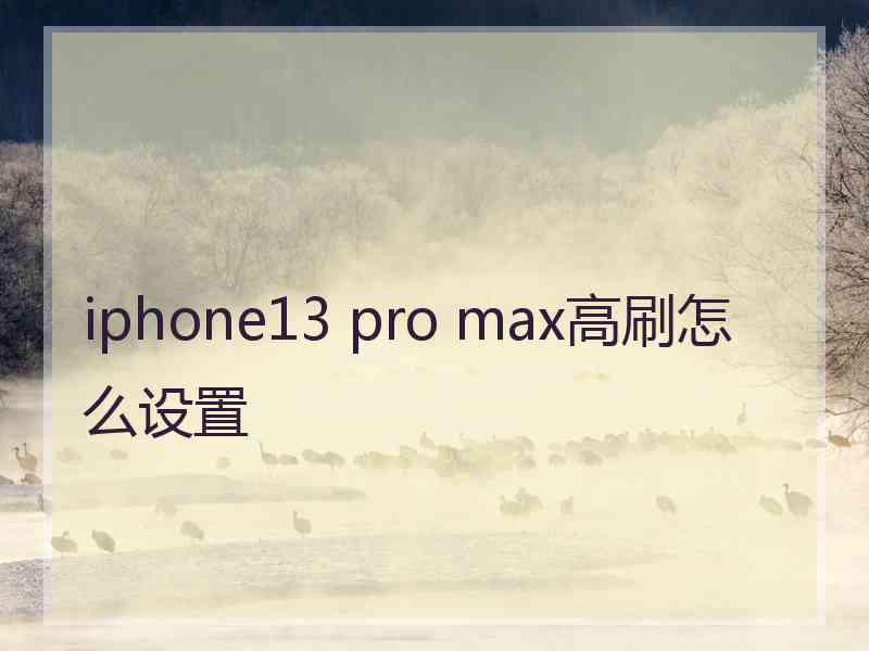 iphone13 pro max高刷怎么设置