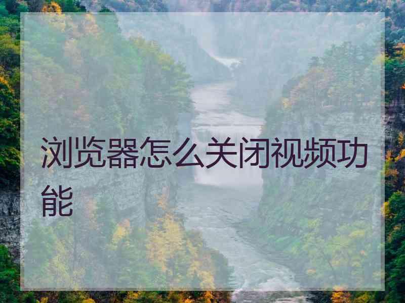 浏览器怎么关闭视频功能