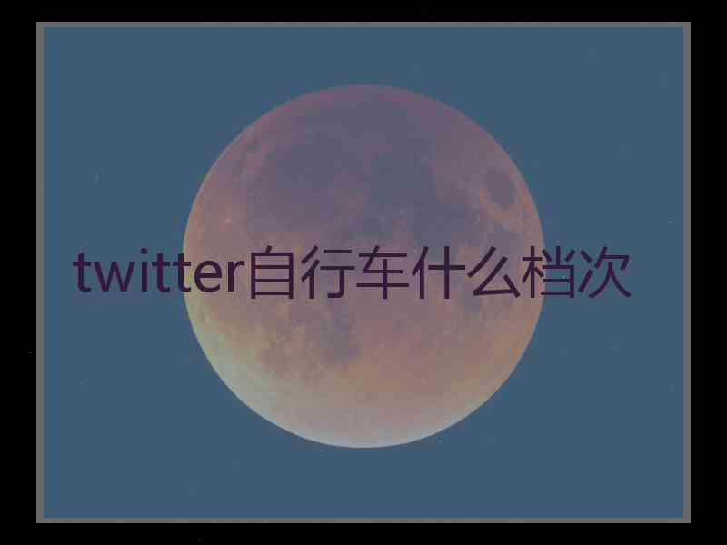 twitter自行车什么档次