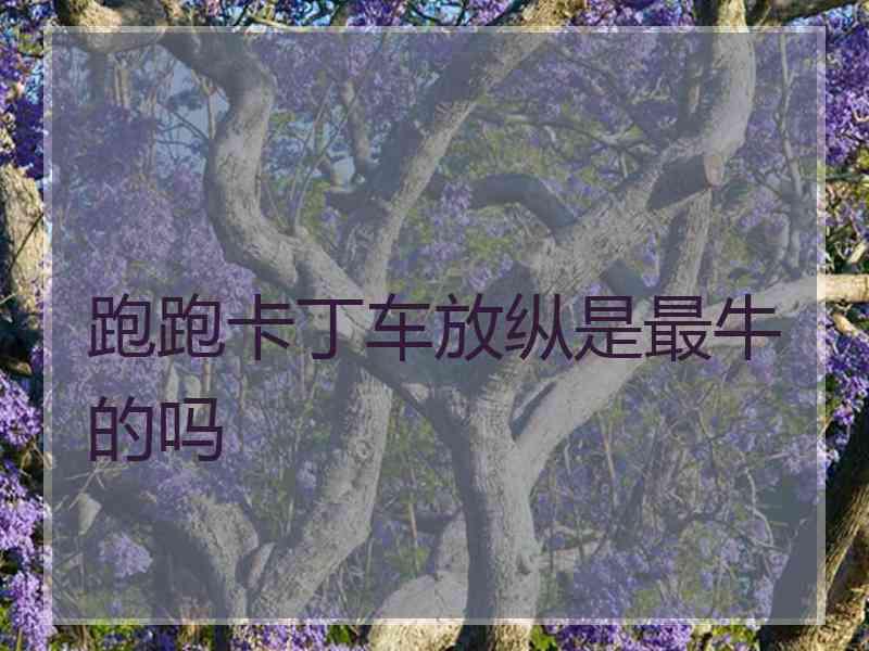 跑跑卡丁车放纵是最牛的吗