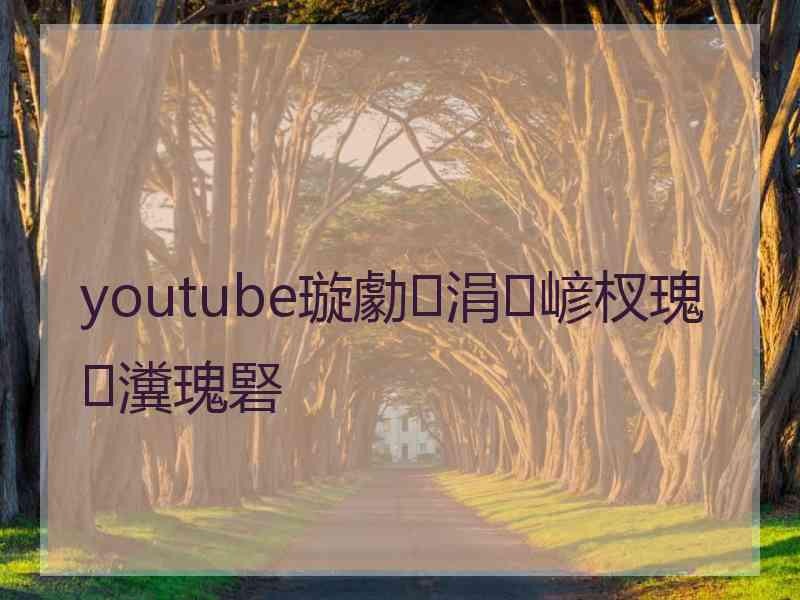 youtube璇勮涓嵃杈瑰瀵瑰硻