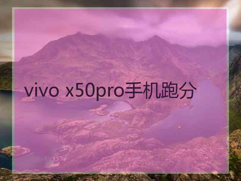 vivo x50pro手机跑分