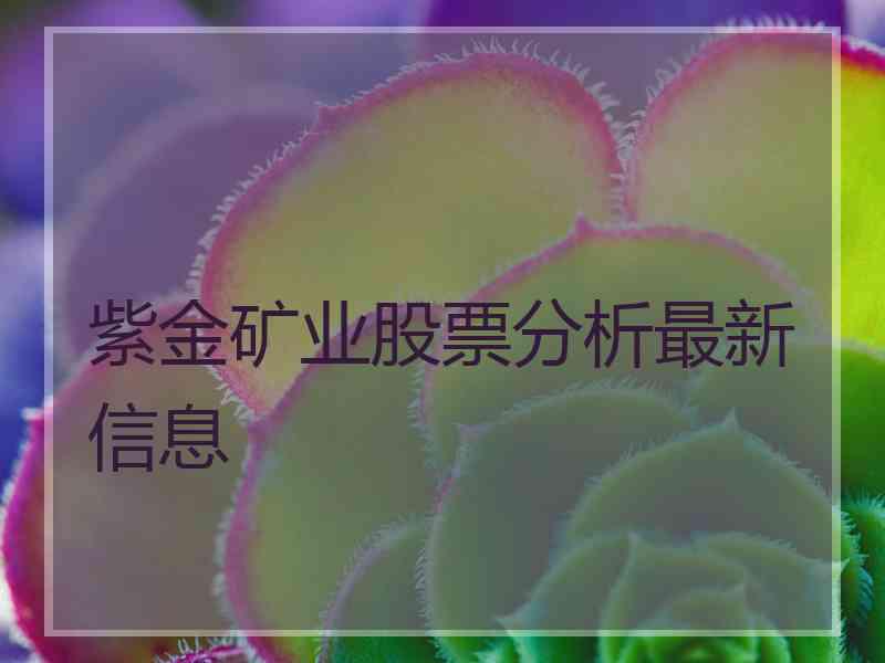 紫金矿业股票分析最新信息