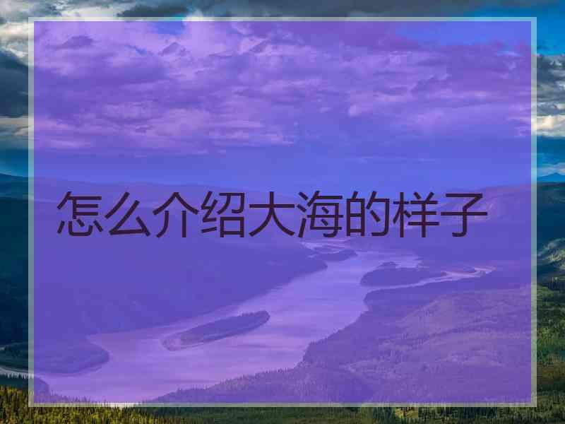 怎么介绍大海的样子