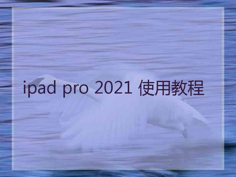 ipad pro 2021 使用教程