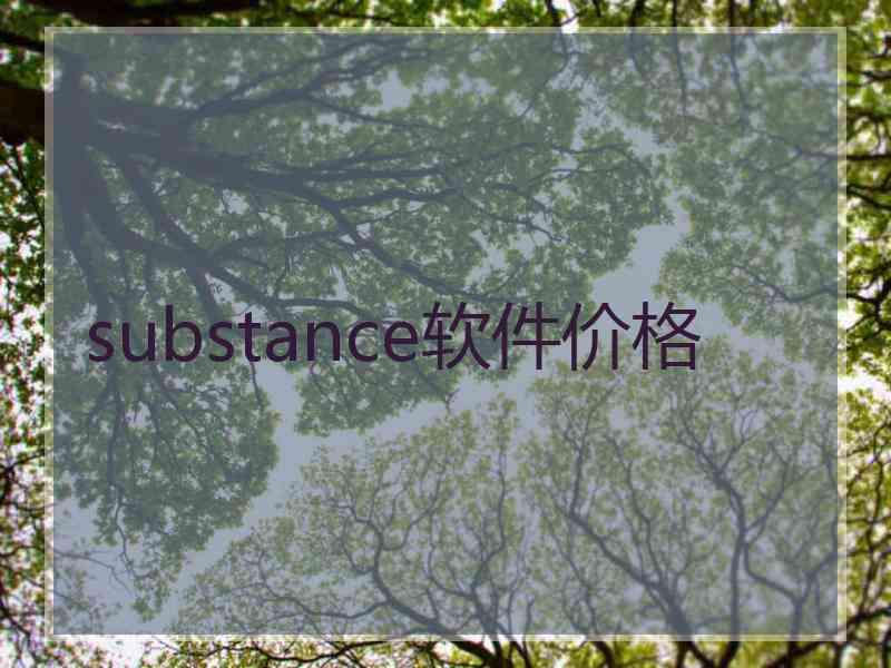 substance软件价格