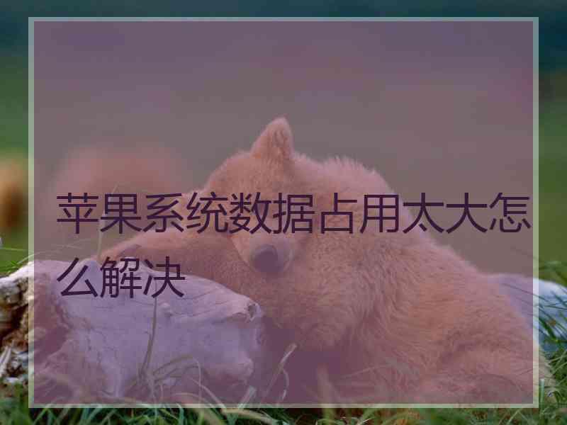 苹果系统数据占用太大怎么解决